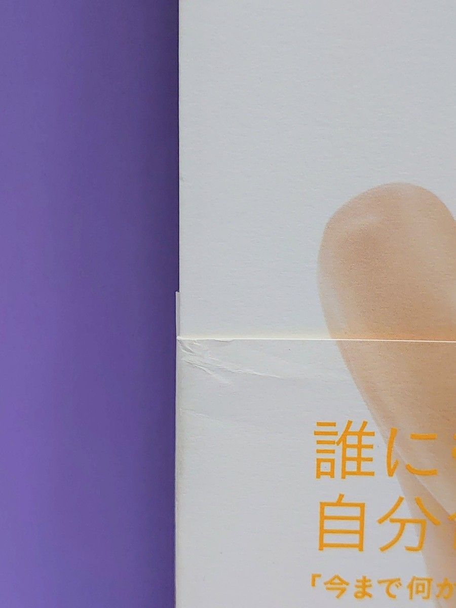 直筆サイン入り 菜々緒スタイルブック 菜々緒/著
