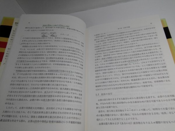 ミクロ経済分析 ハル・R・ヴァリアン 佐藤隆三ほか/経済と経済学の明日4/勁草書房【即決・送料込】