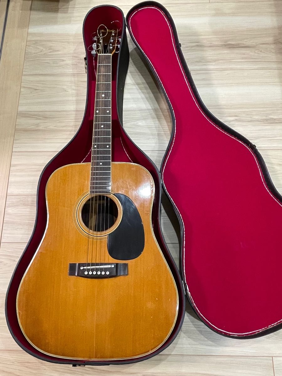 2022年春夏再入荷 プロマーチンw-250 pro fundacionatenea.org Martin