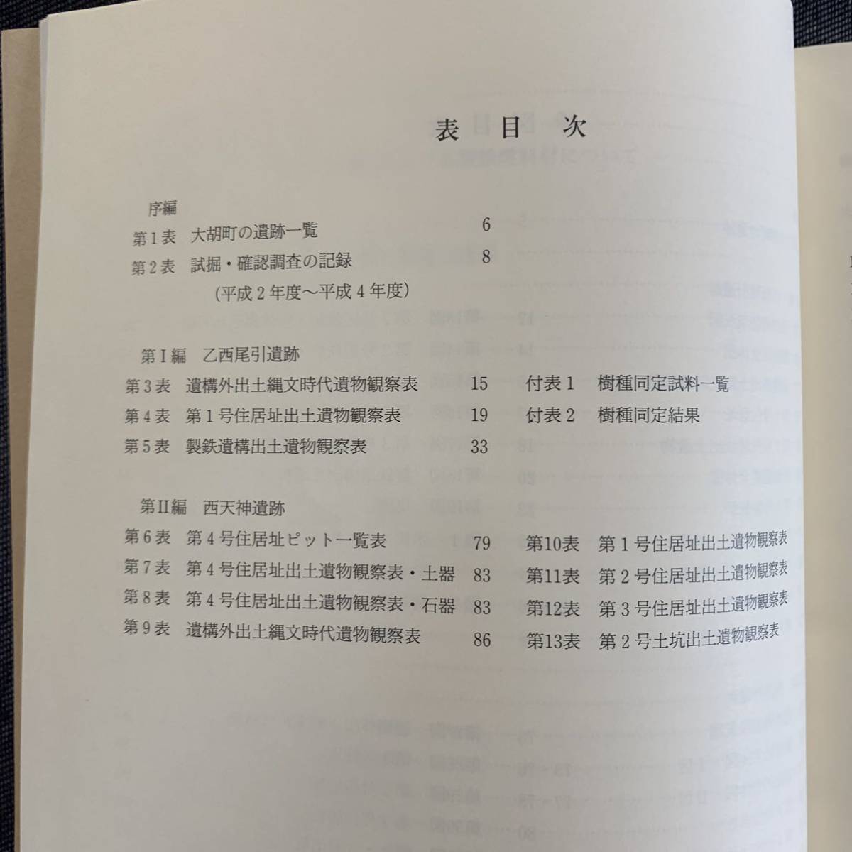 乙西尾引遺跡/西天神遺跡/柴崎遺跡 群馬県勢多郡大胡西北部遺跡群 県営ほ場整備事業大胡西北部埋蔵文化財発掘調査報告書1994平成6年3月25日_画像6