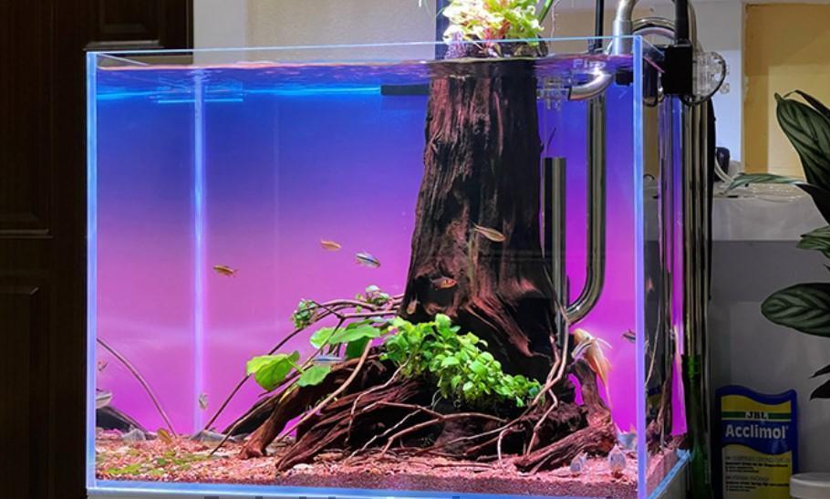  аквариум цвет подсветка экран 60cm×45cm аквариум LED