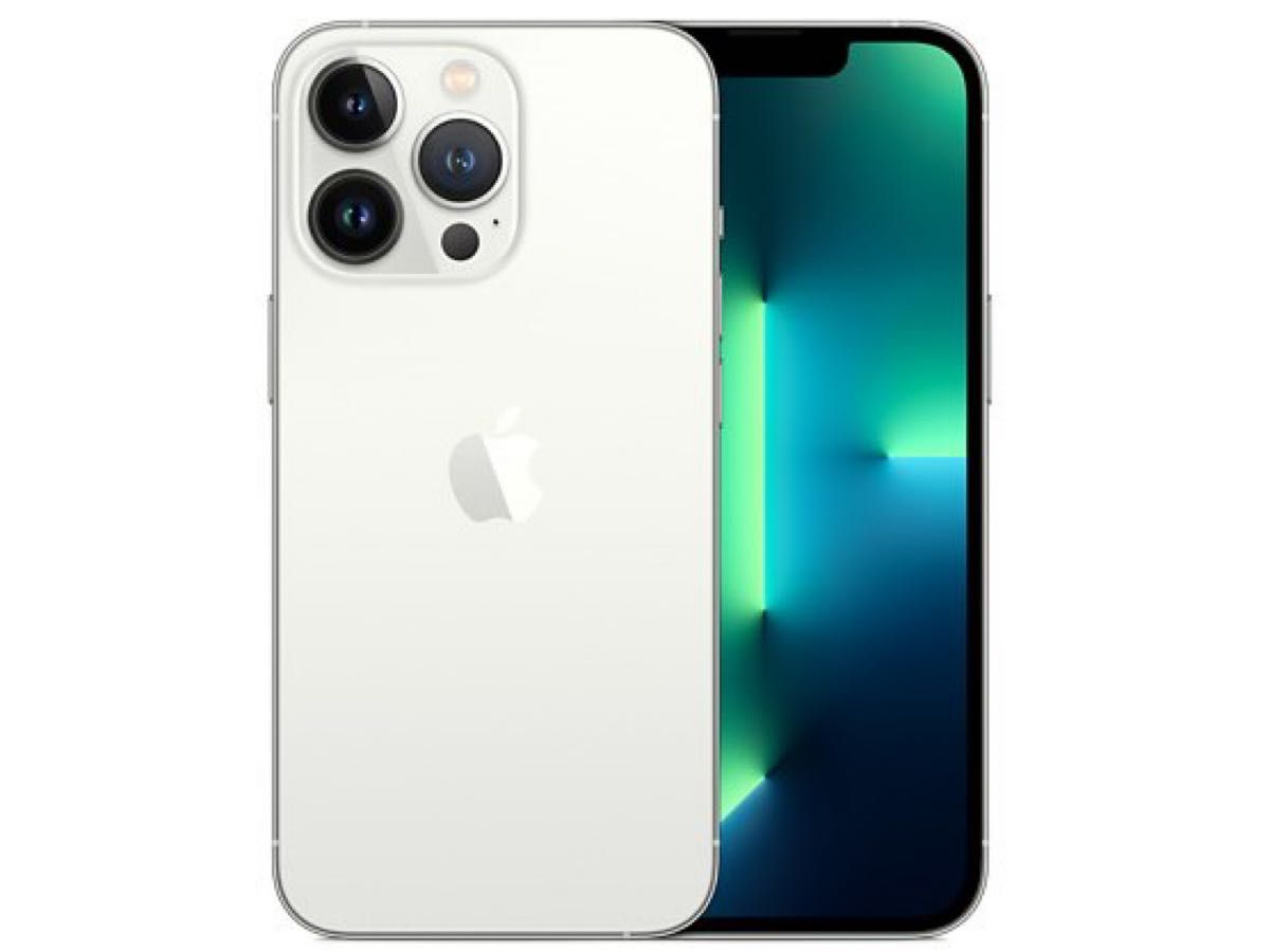 新版 iPhone13 Pro 256GB グラファイト AppleStore一括購入