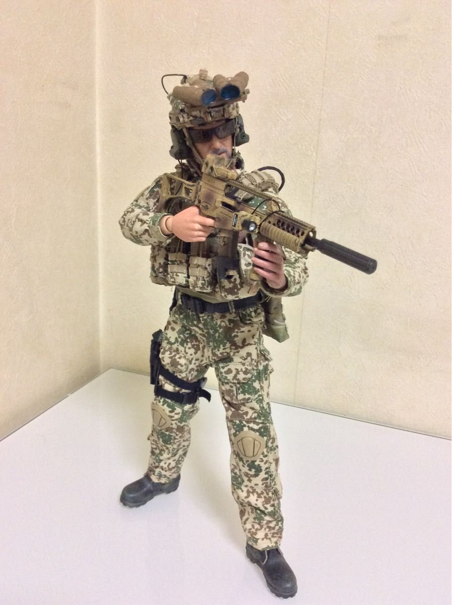 1/6 ミリタリーフィギュア　フィギュア　damtoys アクションフィギュア　soldier story did ホットトイズ