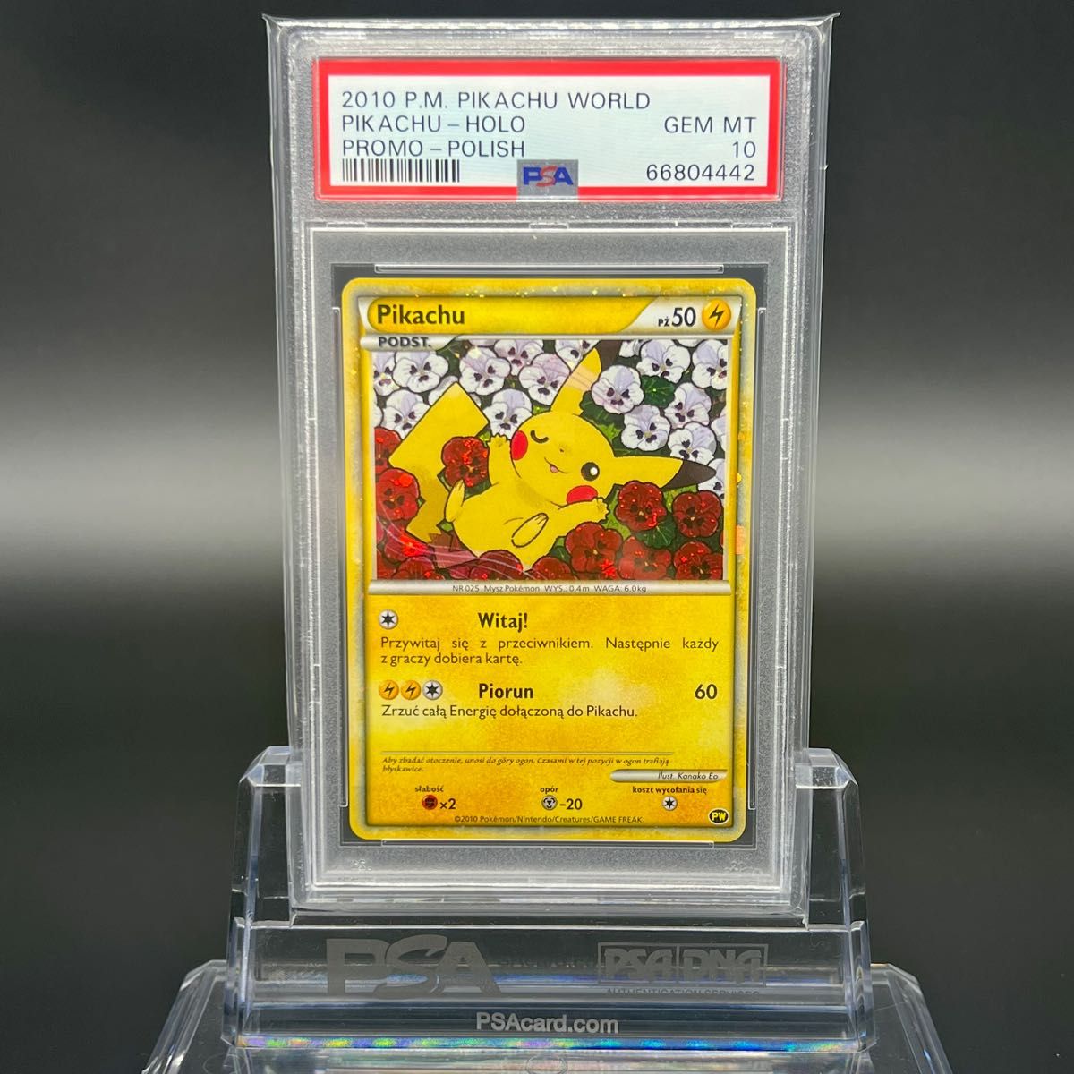 【極美品】【即日発送】ピカチュウ ポーランド PSA10 ワールド プロモ