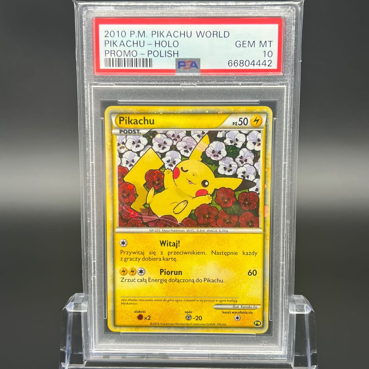 【極美品】【即日発送】ピカチュウ ポーランド PSA10 ワールド プロモ