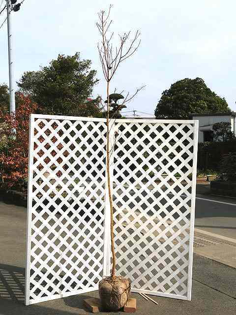 アルミ板 12x400x345 (厚x幅x長さ㍉) 保護シート付-