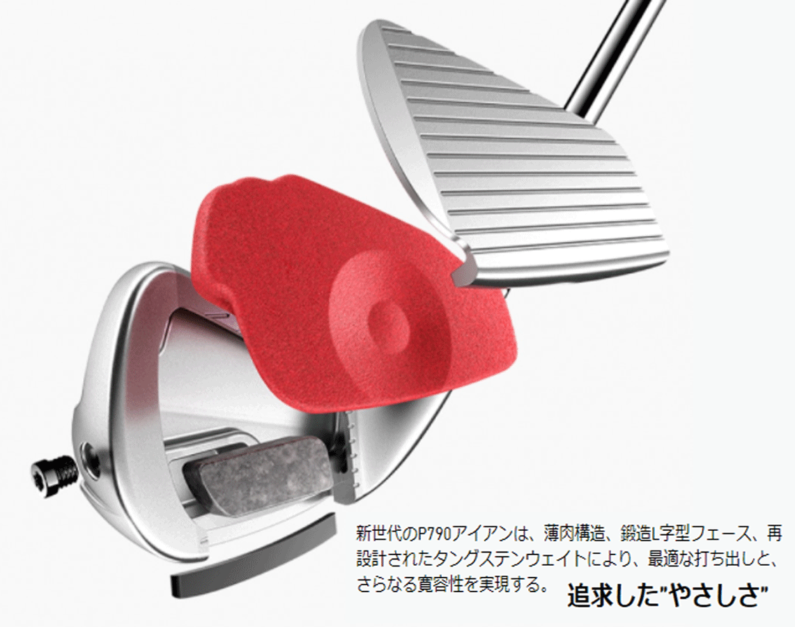 新品□テーラーメイド□2021.9□NEW P790('21)□6本アイアン【5~P