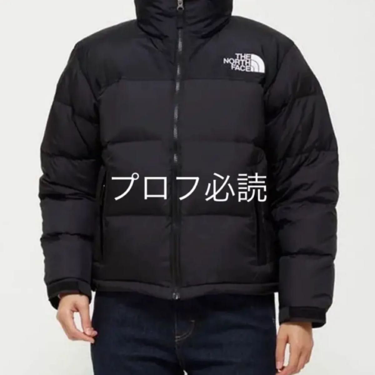 人気激安 新品/海外限定 ノースフェイス north EGLON EX face down