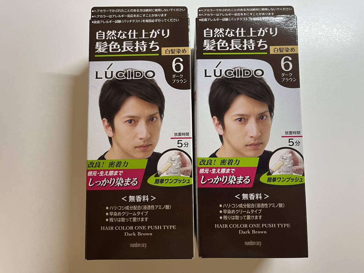 2個セット 男性用白髪染め/ルシード ワンプッシュケアカラー 6