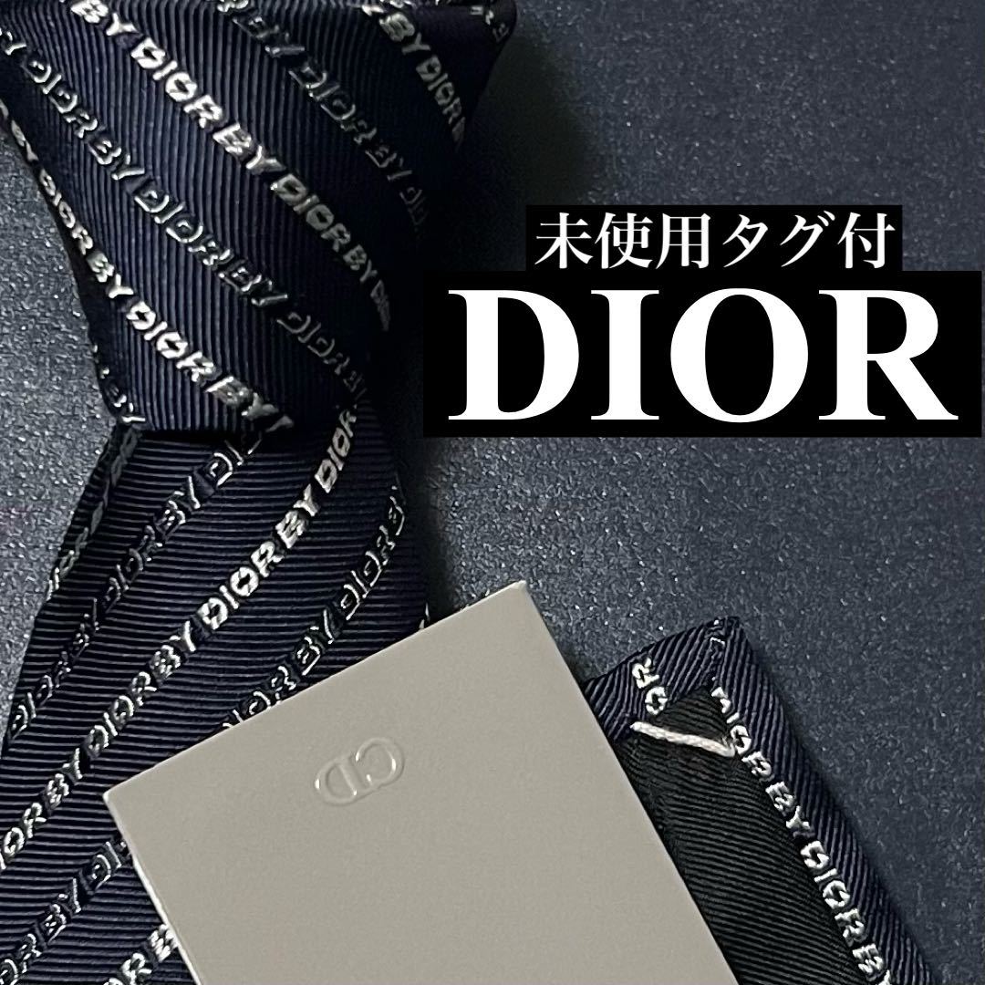 激レア 未使用タグ付 現行 Dior HOMME ディオールオム ナロー ネクタイ