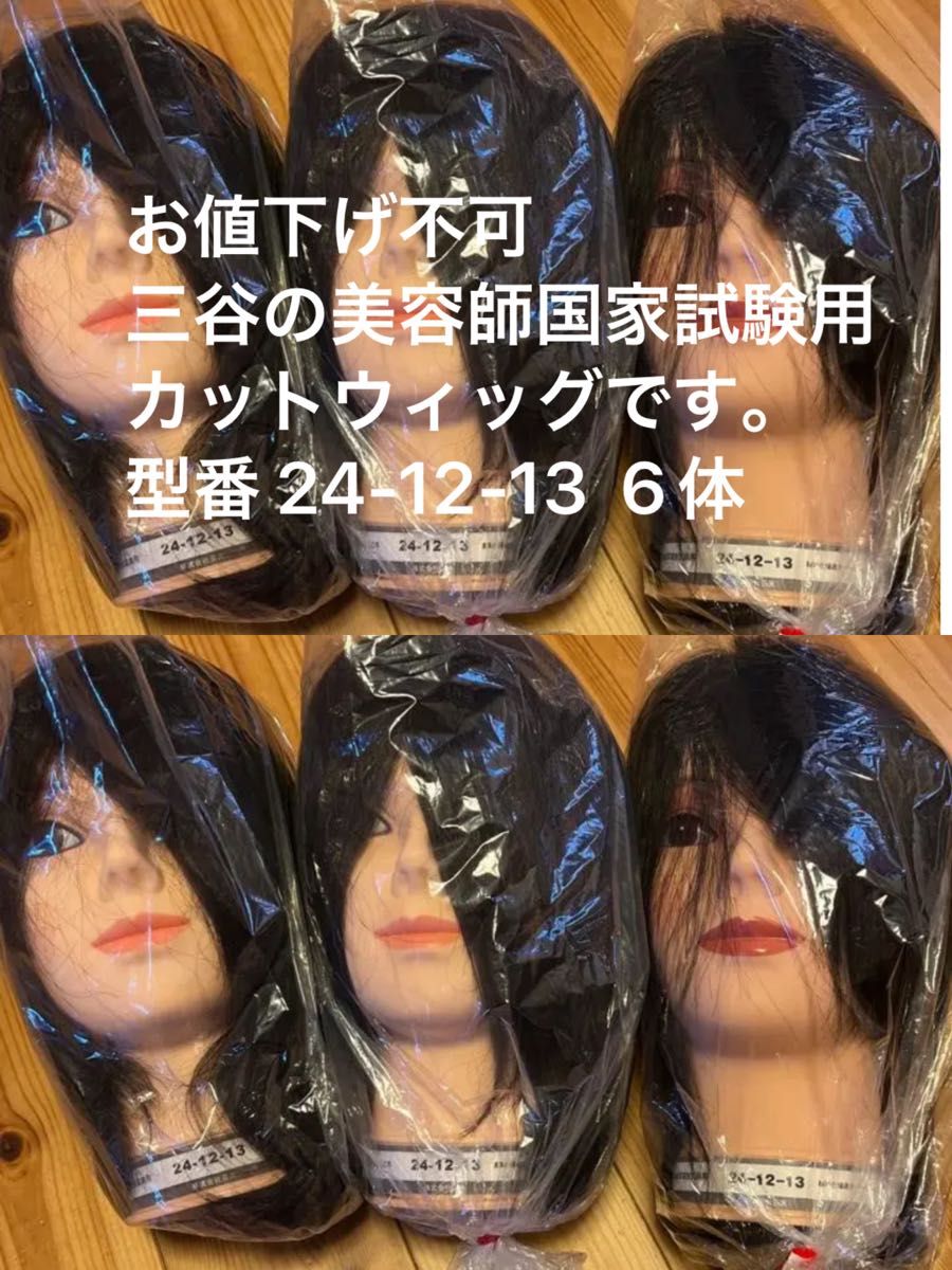 新品未使用三谷の美容師国家試験用カットウィッグ型番 24-12-13 6体