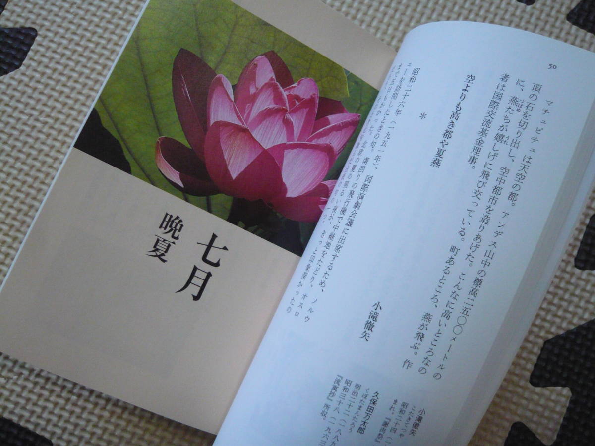 四季のうた 第三集　花よ、散りいそぐな 中央新書1903 カラー版 著者 長谷川 櫂 2007年6月25日 発行 定価980円+税　送料180円_画像7