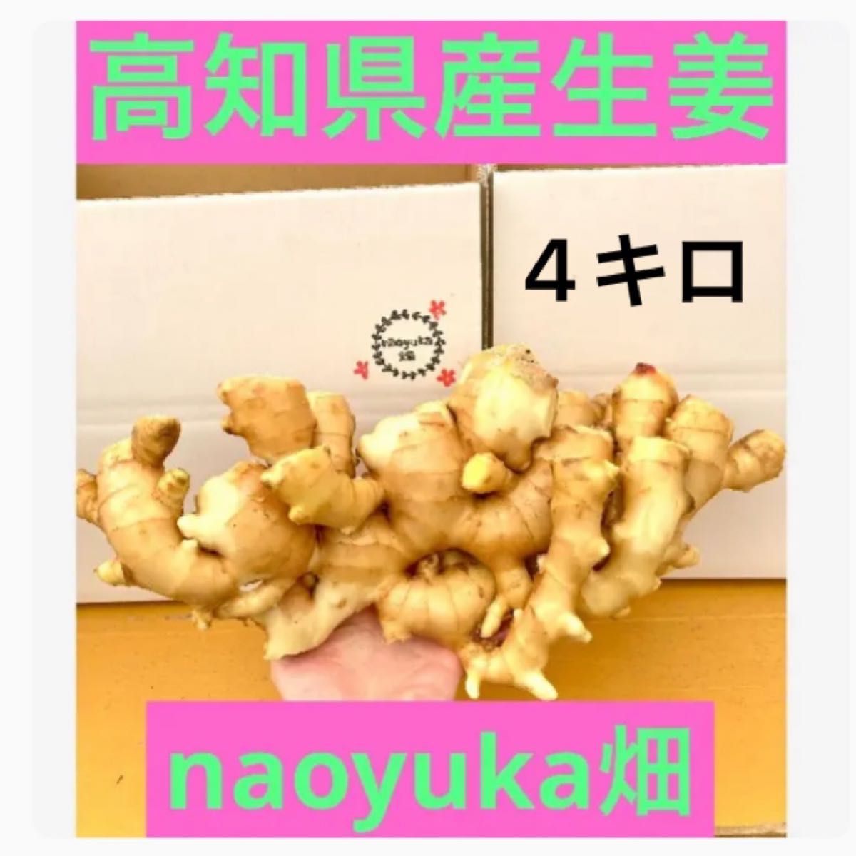 スピード対応 全国送料無料 高知県産新生姜1キロ 即購入OK ...