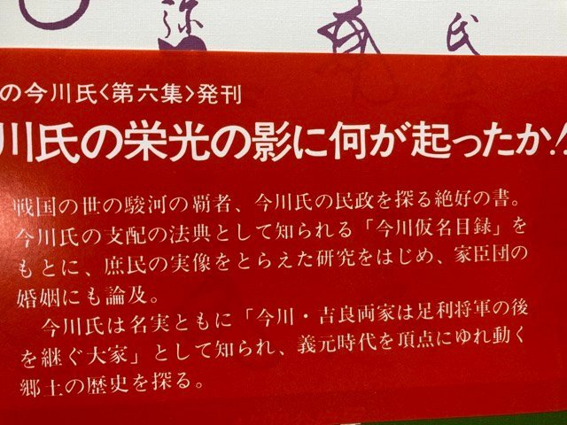 駿河の今川氏 全10冊揃/小和田哲男　他/今川義元　YDF567_画像7