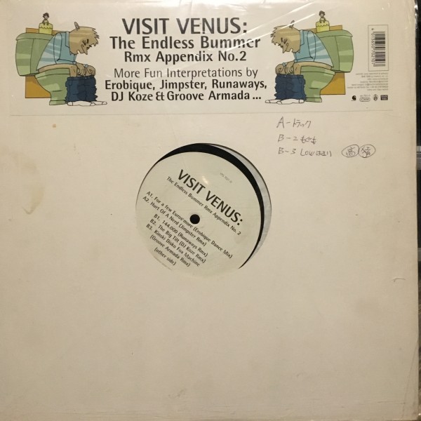 Visit Venus / The Endless Bummer Rmx Appendix No. 2(Remix Groove Armada)_画像3