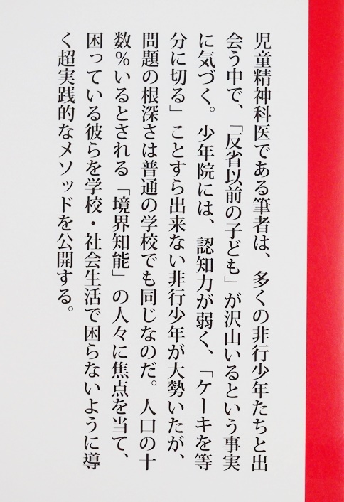 ★送料無料★ 『ケーキの切れない非行少年たち』 「反省以前の子ども」が沢山いるという事実 少年院 境界知能 児童精神科医 宮口幸治