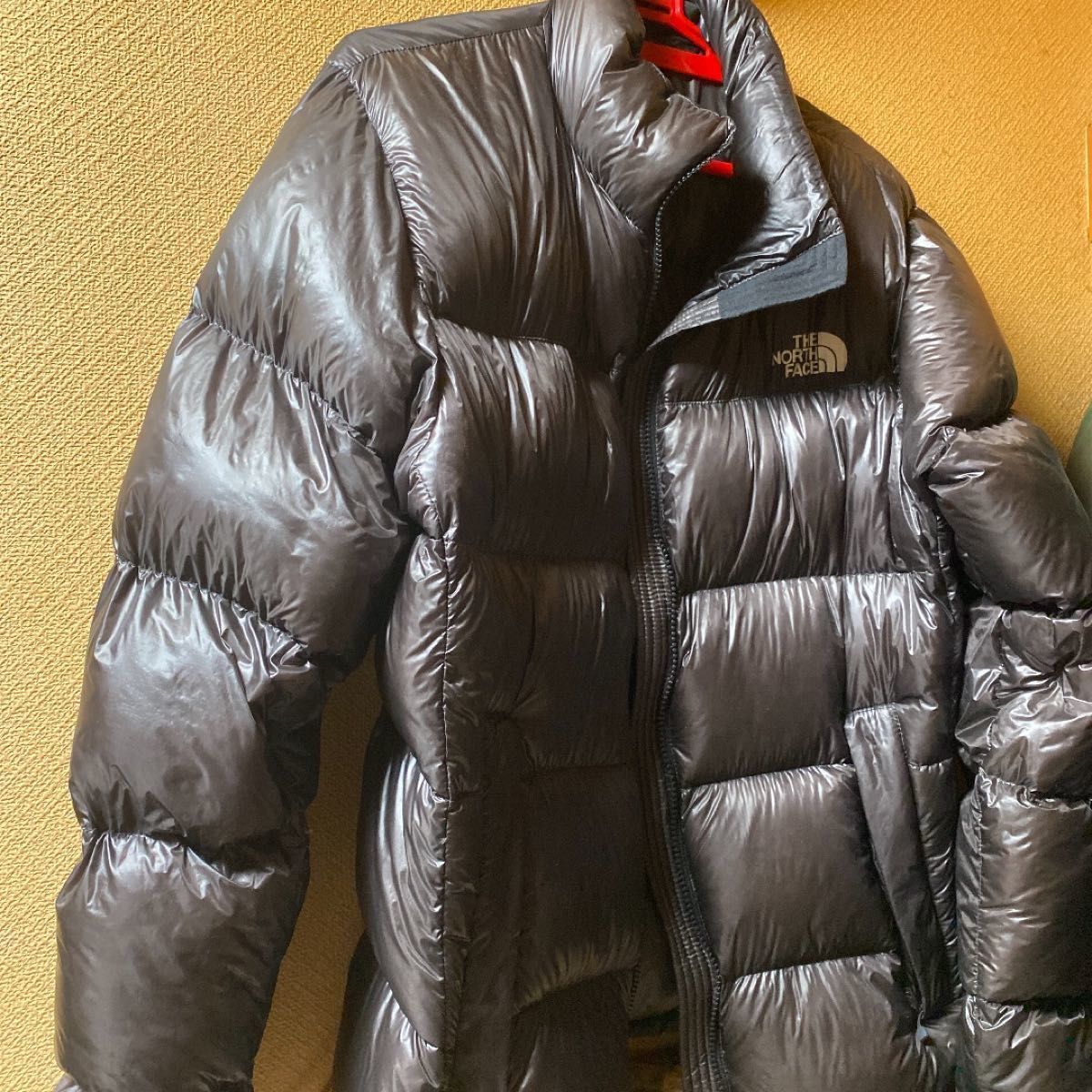 本店本店THE NORTH FACE GLヌプシ 900フィル ダウンジャケット