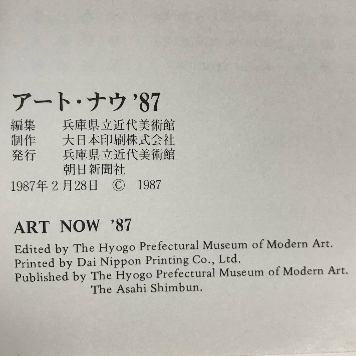 KI15/6　アート・ナウ’87 兵庫県立近代美術館 図録 art now 片山雅史/田嶋悦子/田仲容子/都筑房子/松尾直樹/長野久人/菊池孝●◆_画像7