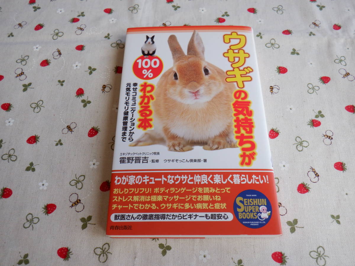 B12　『ウサギの気持ちが１００％わかる本』ウサギぞっこんクラブ／著　青春出版社発行_画像1