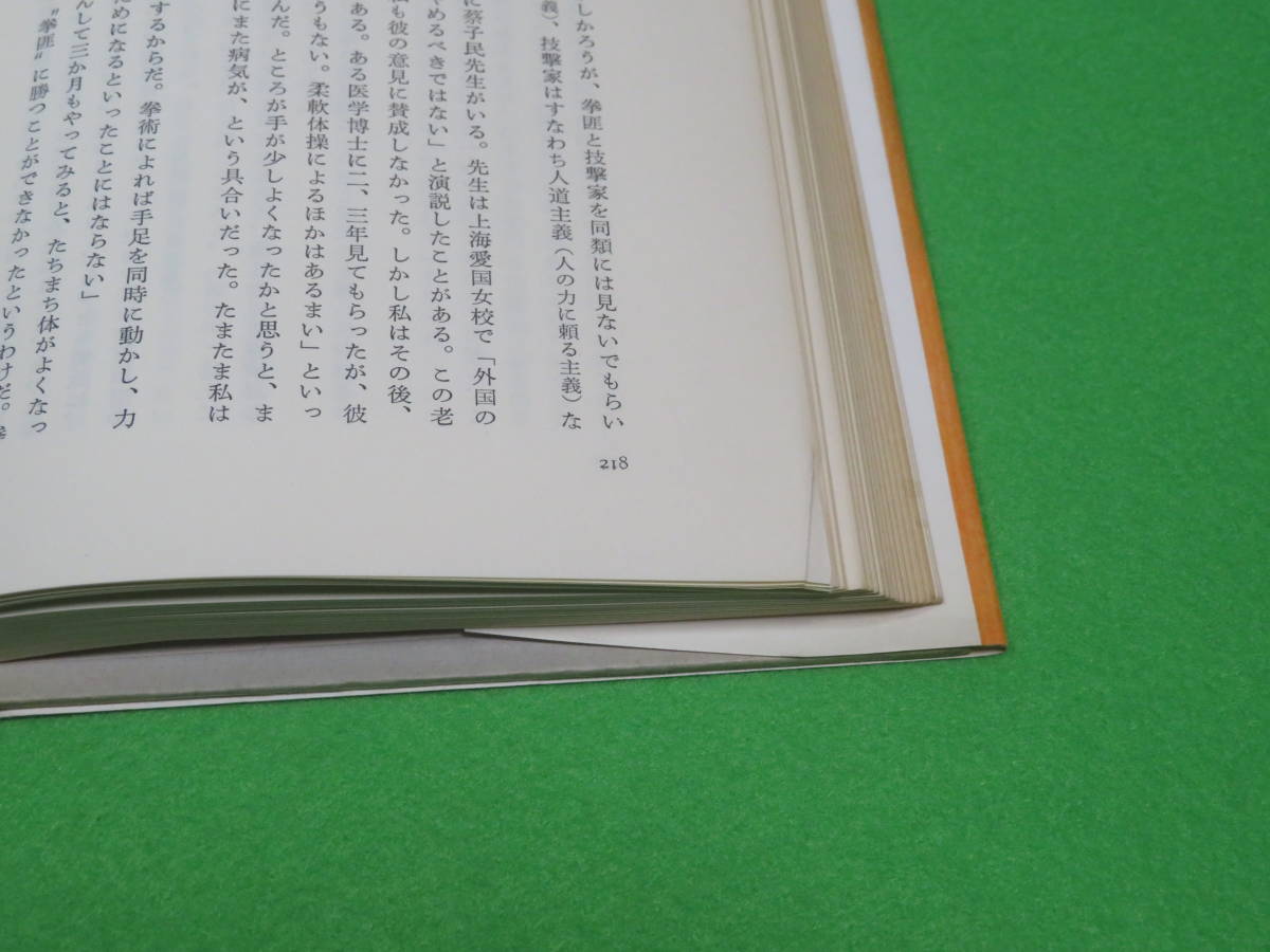 ■中国拳法伝 笠尾恭二 新たなる拳法史観のために■ニトリア書房■送料無料の画像7