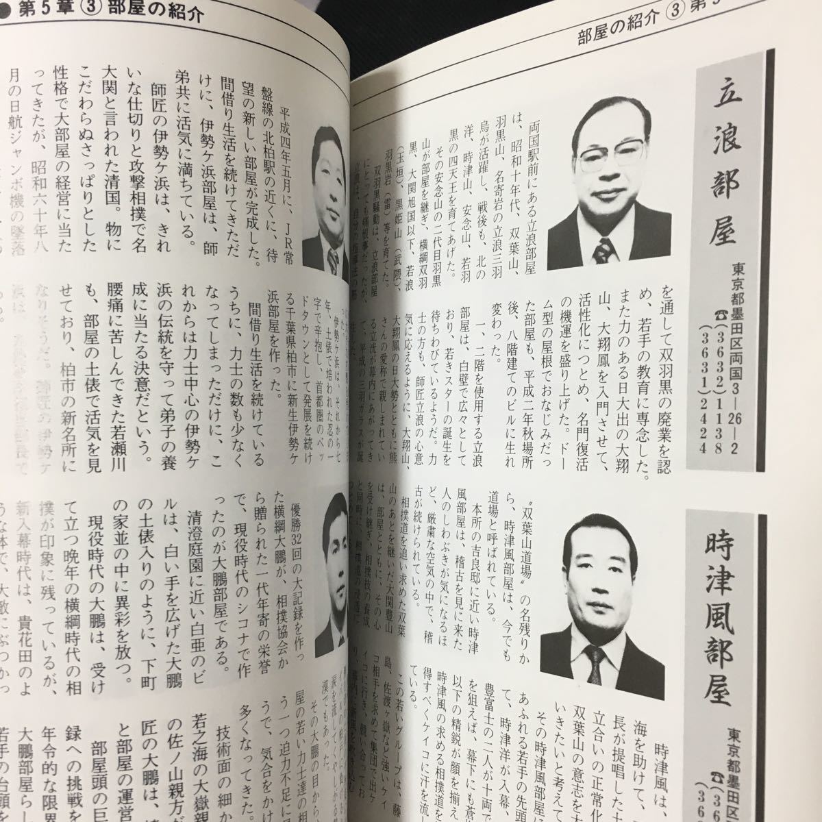 ☆本格闘技「92-93年版ザ大相撲」若花田貴花田若乃花貴乃花曙武蔵丸選手名鑑決まり手_画像10