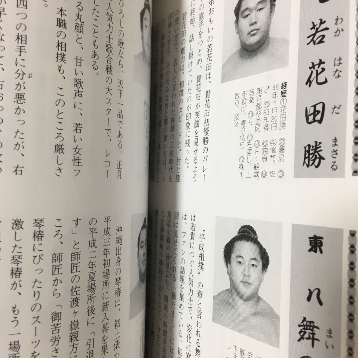 ☆本格闘技「92-93年版ザ大相撲」若花田貴花田若乃花貴乃花曙武蔵丸選手名鑑決まり手_画像7