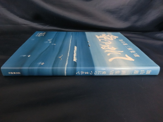 加山雄三画集Ⅷ　愛につつまれて 近代映画社　定価　本体3800円＋税　若大将_画像4