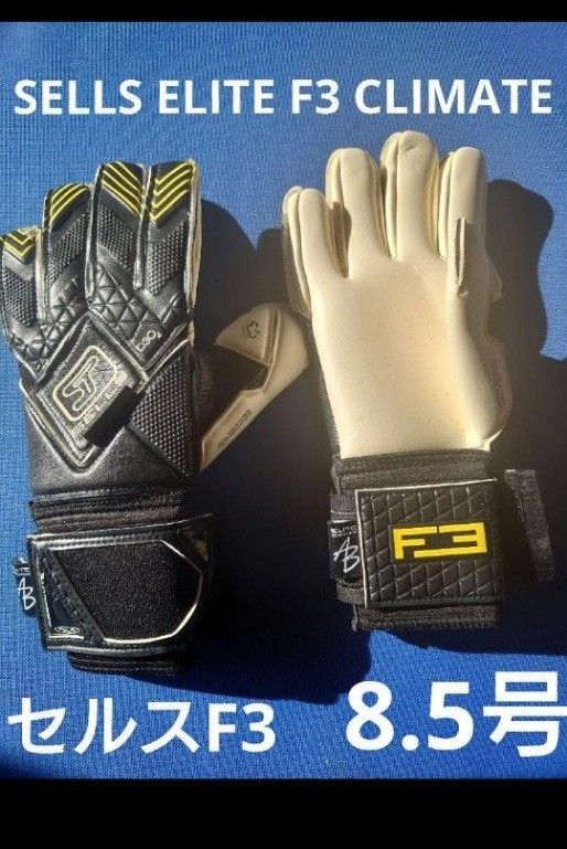海外花系 SELLS F3 CLIMATE プロモデル サイズ8.5 - アクセサリー