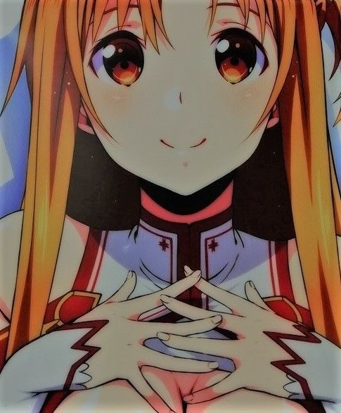 SJ有 こっそり隠れ処 正規品新品未開封 SAO アスナ 抱き枕カバー あいらん堂 あいらんど 俺の嫁 俺嫁仕様 1