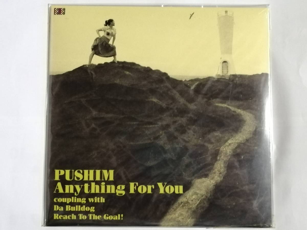 新品未開封 ラヴァーズ・ロック名曲 PUSHIM 「ANYTHING FOR YOU」アナログ盤 RYO the SKYWALKER FIRE BALL Keyco MINMI_画像1