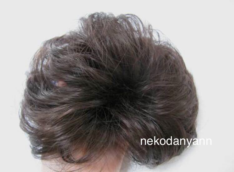 激安通販の 新品 未使用 夏用ウイッグかつら栗ブラウン医療用にも