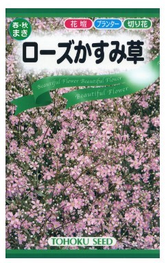 ピンク かすみ草 ローズかすみ草 種子 花のたね 切り花向け 家庭園芸_画像1