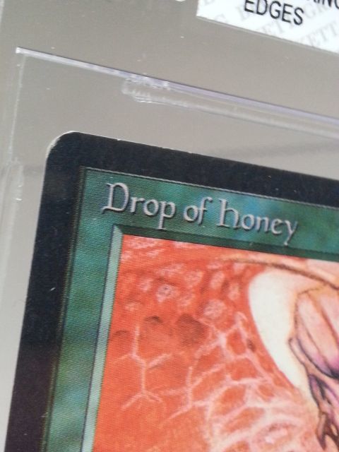 ●MTG● AN Drop of Honey(英語 BGS 8)_画像4