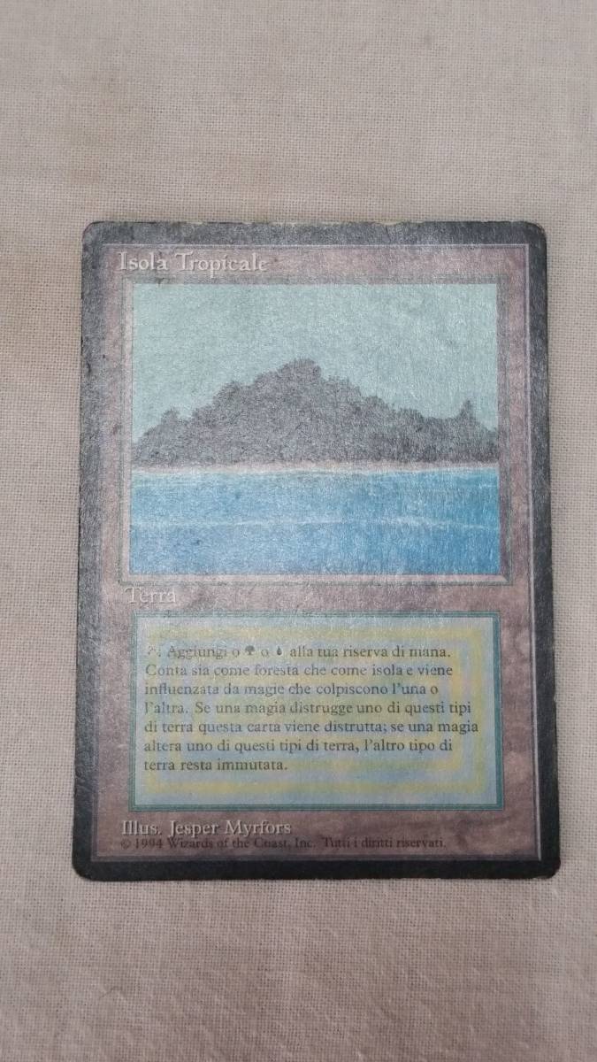 ○MTG○ RV Tropical Island(黒枠伊語) | www.hospitaldeyumbo.gov.co