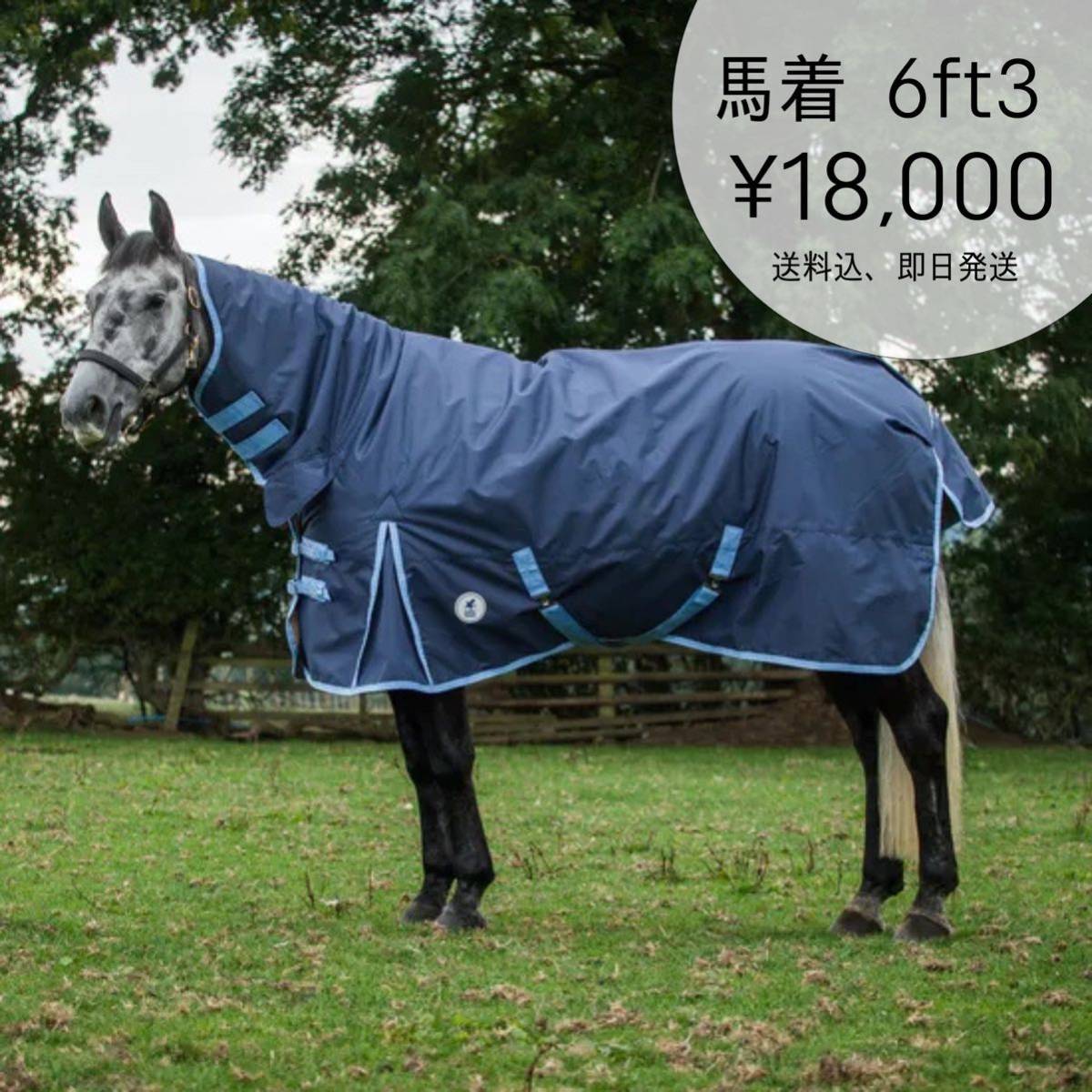 乗馬 ドレスブーツ 黒 37 新品 本革 月末までの特価 | axentit.com.mx