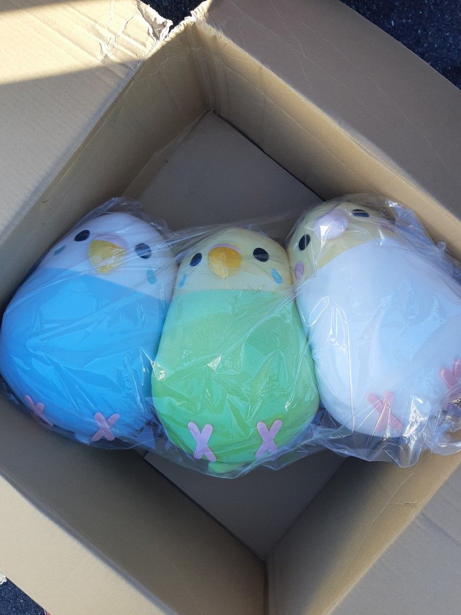 しまむら　インコ　ぬいぐるみ　新品　三連