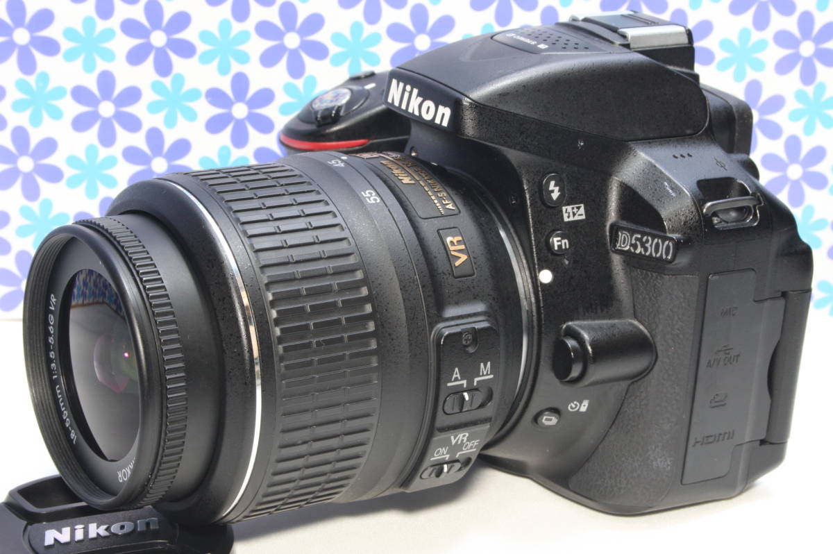 極上美品 Nikon ニコン D5300 Wi-Fi機能搭載 高画質・高性能 おすすめ