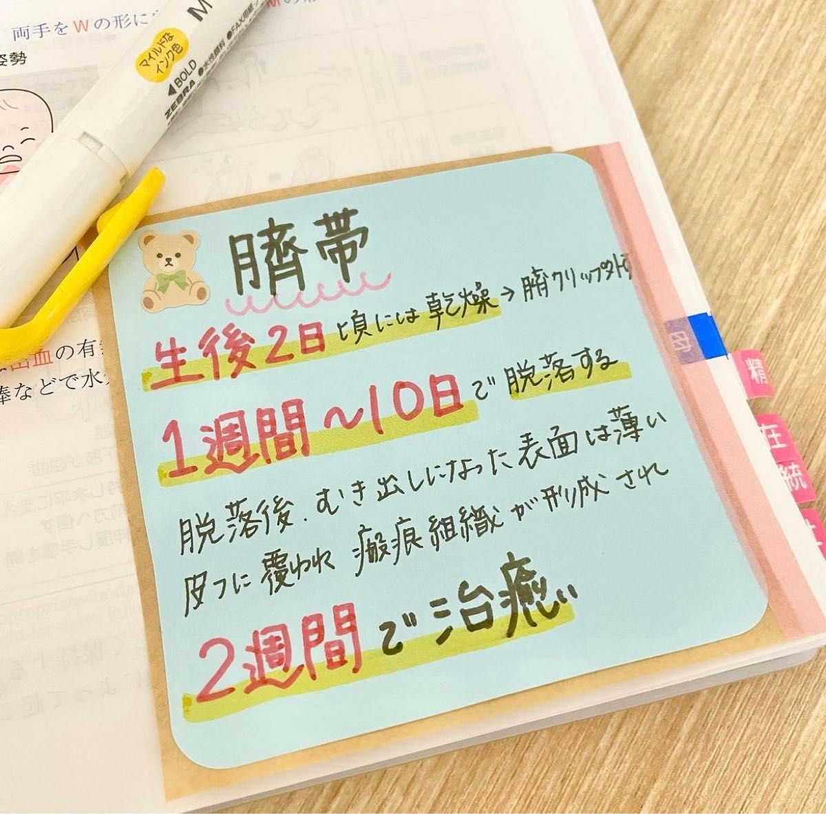 看護師国家試験 国試対策 付箋ノート|Yahoo!フリマ(旧PayPay 看護師国家試験 国試対策 付箋ノート|Yahoo!フリマ(旧PayPay