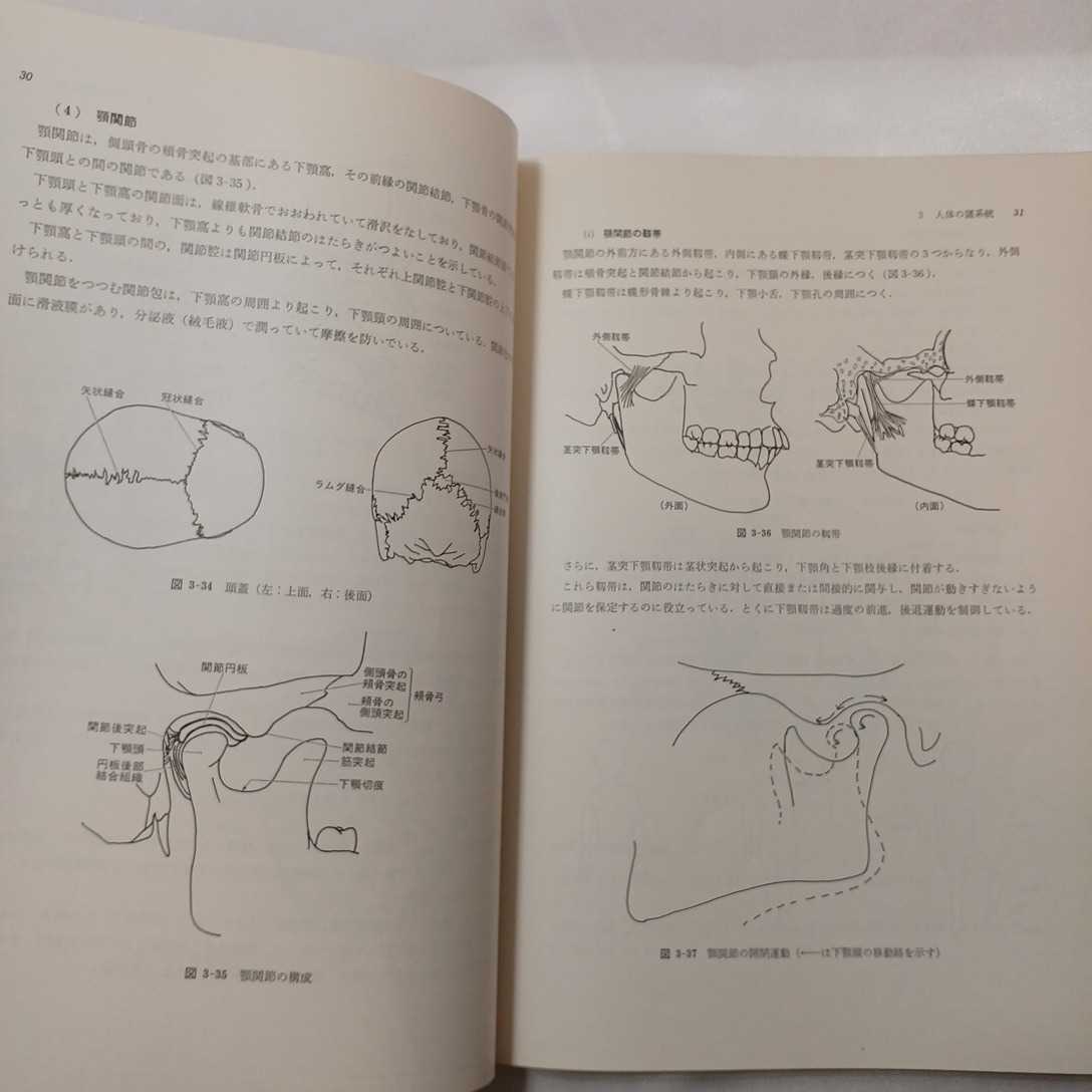 zaa-409♪簡明口腔解剖学 付/歯の形態　　長浜晋(著)　東義景(著) 医歯薬出版（1982/03発売）