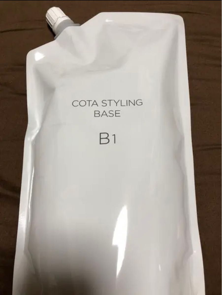 コタB1 - ruizvillandiego.com