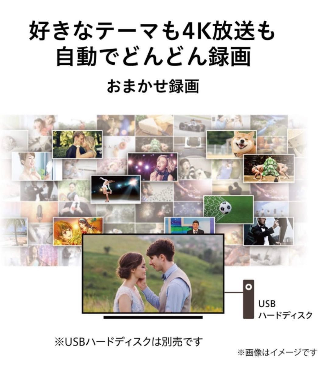 東芝 TOSHIBA レグザ REGZA 55M530X 4Kダブルチューナー搭載 4Kテレビ