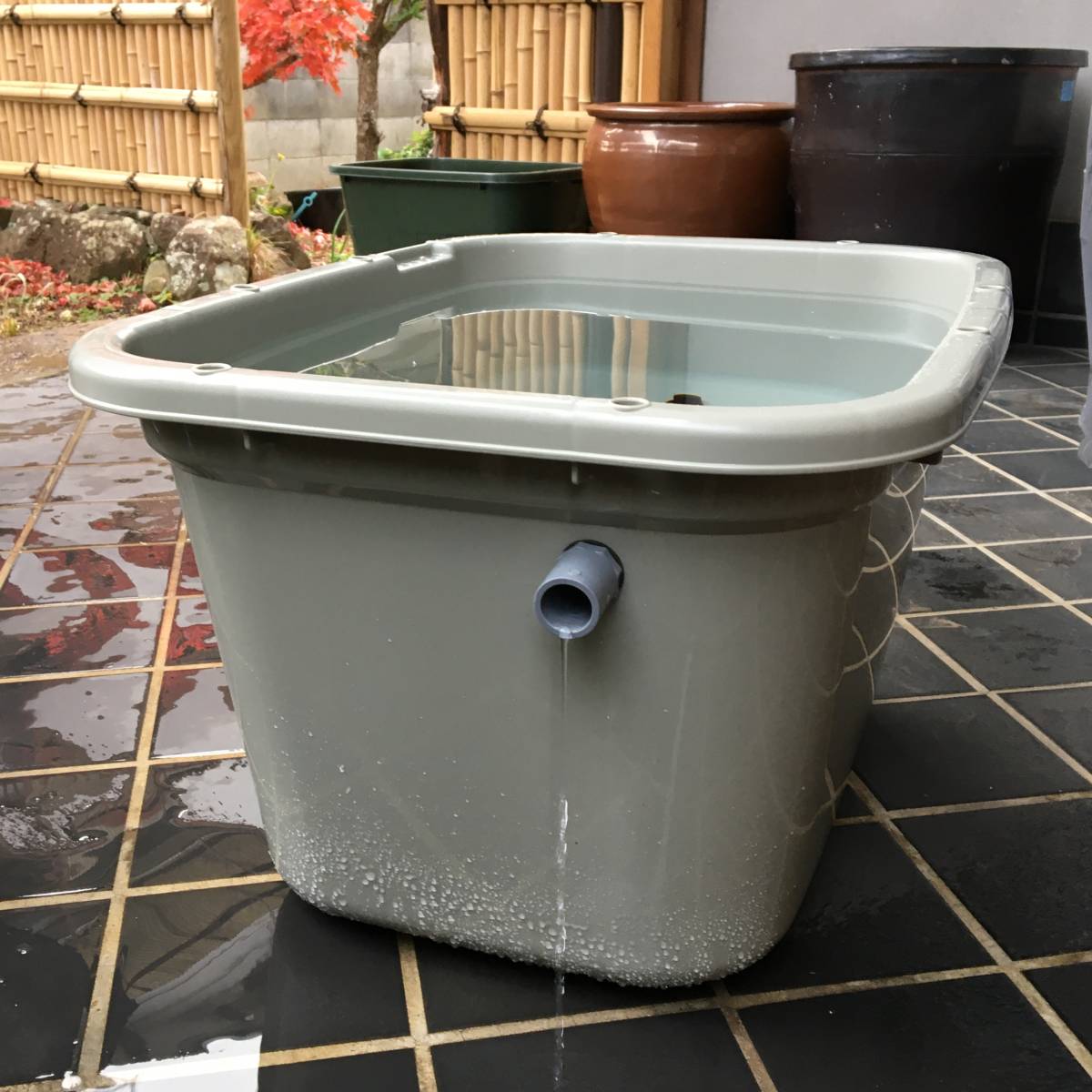 メダカ飼育容器 56㍑ グレー 3個 オーバーフロー加工済 即決・送料無料 金魚飼育ケース ビオトープ 越冬