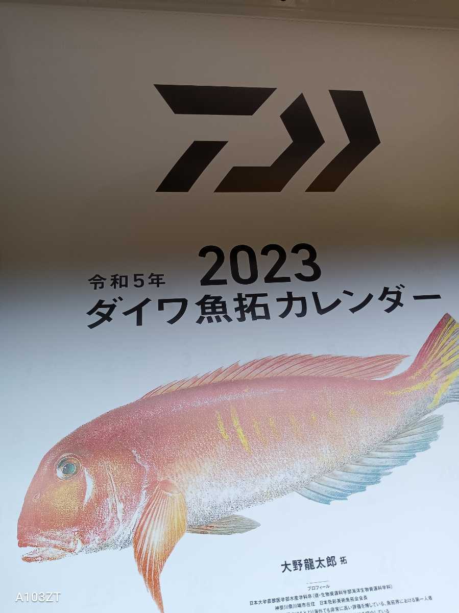 高級 ダイワ 2023年 魚拓カレンダー mandhucollege.edu.mv