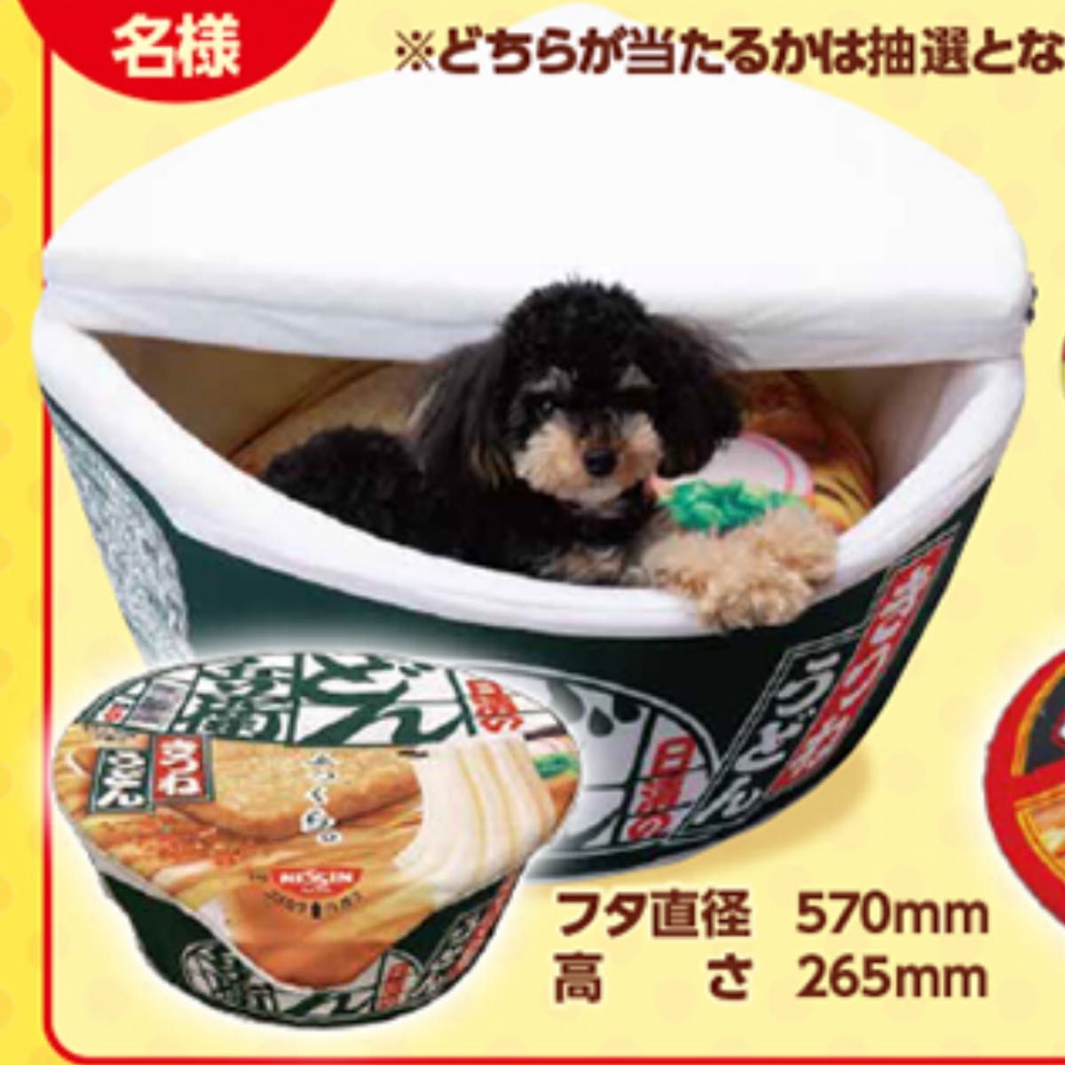 どん兵衛　ペットベット　日清食品　緑　グリーン　きつねうどん　犬　猫