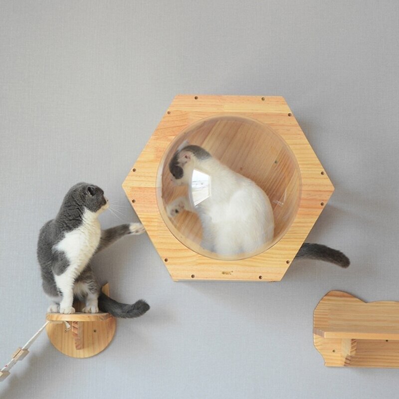 PYD310* kit house . cat house wall hexagon .to-kik stereo wop wooden furniture 