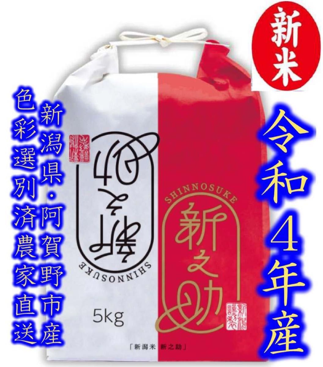 新米・令和4年産 新潟 新之助 白米5kg × 1個 農家直送 色彩選別済25