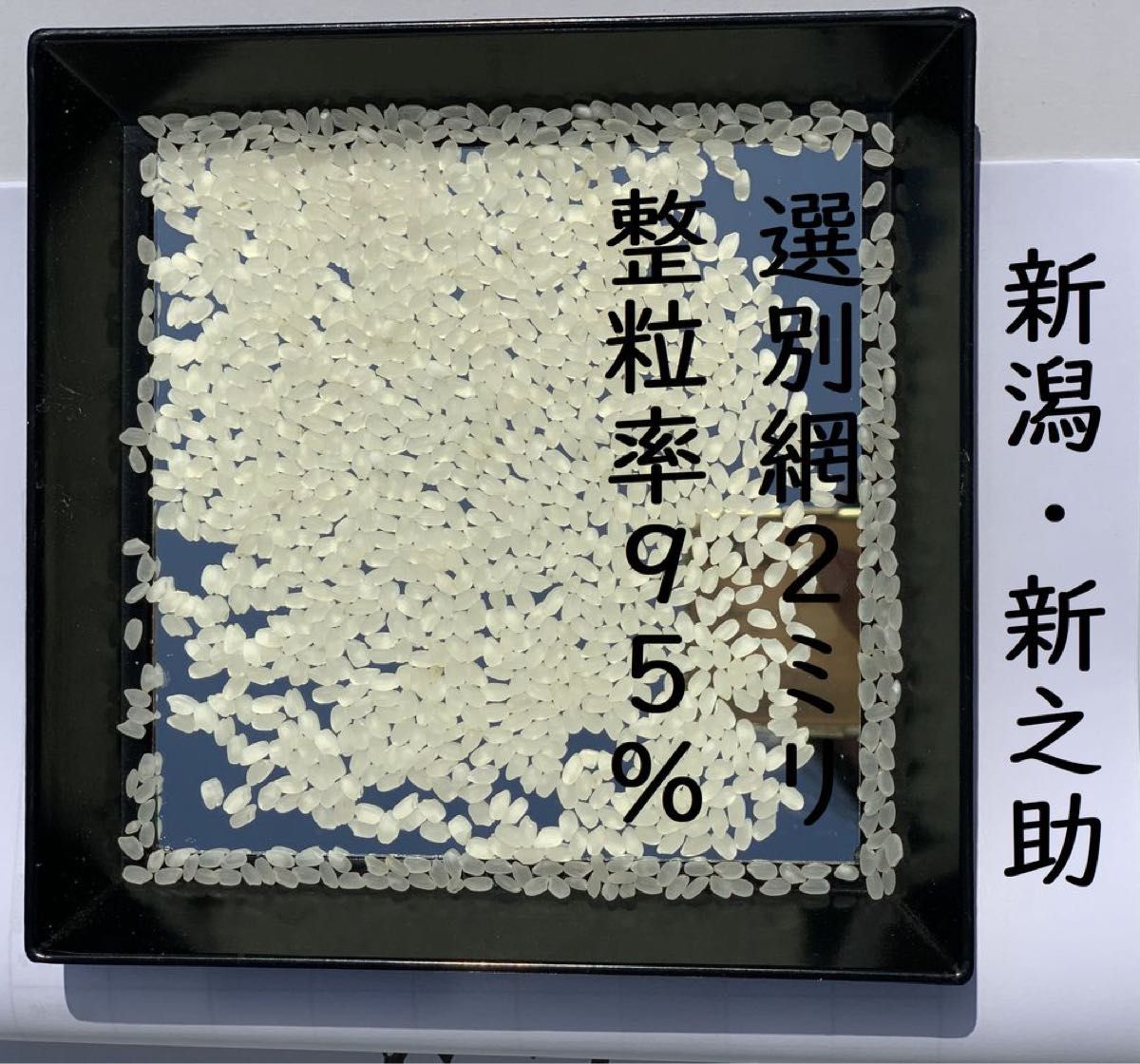 新米 令和4年産 新潟 4個 新之助 農家直送 白米5kg × 色彩選別済09