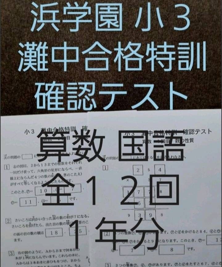 浜学園　小３　灘中合格特訓　算数　国語　確認テスト　１年分