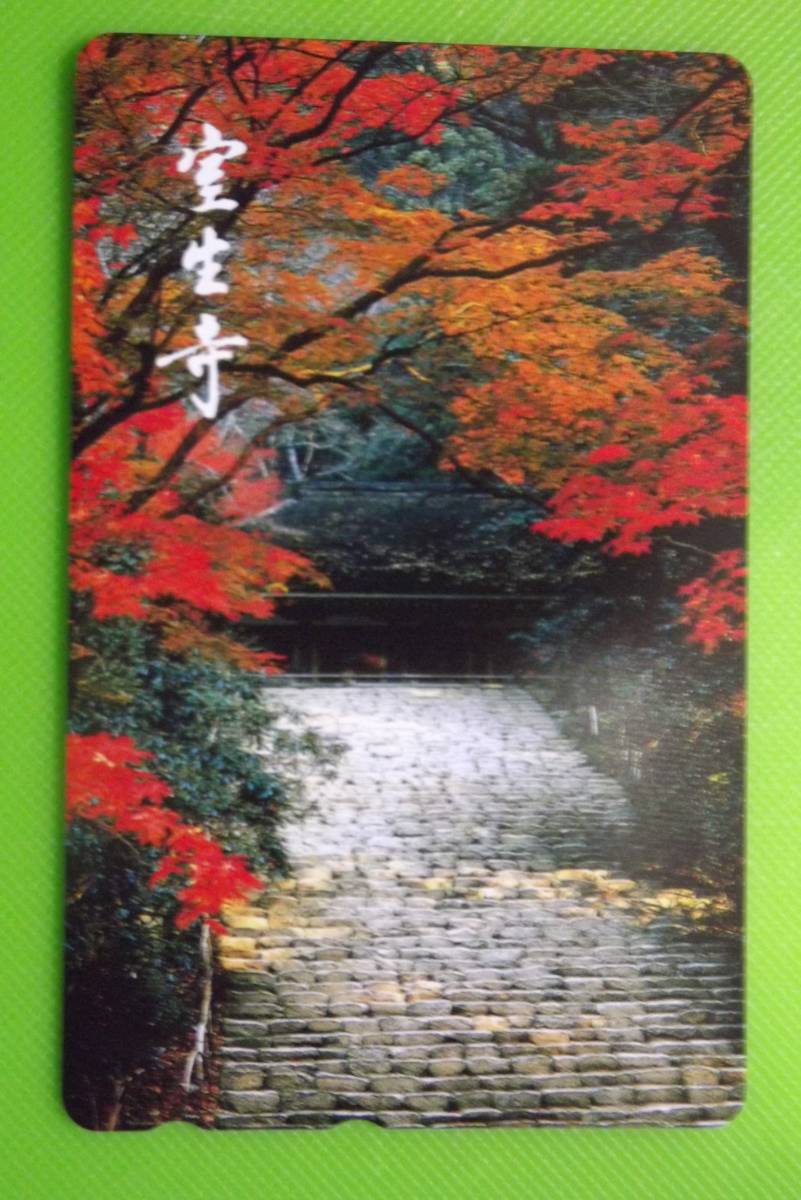 奈良の寺・神社　室生寺紅葉　テレホンカード５０度数　未使用　_画像1