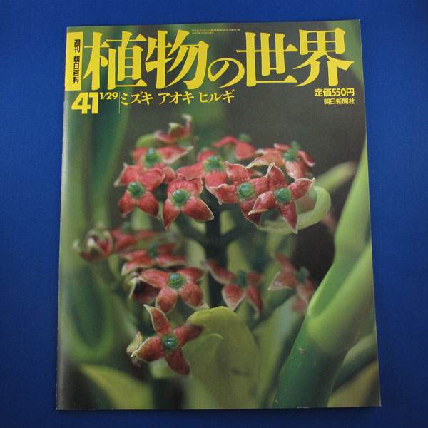 週刊 朝日百科☆植物の世界41☆ミズキ アオキ ヒルギ☆朝日新聞社
